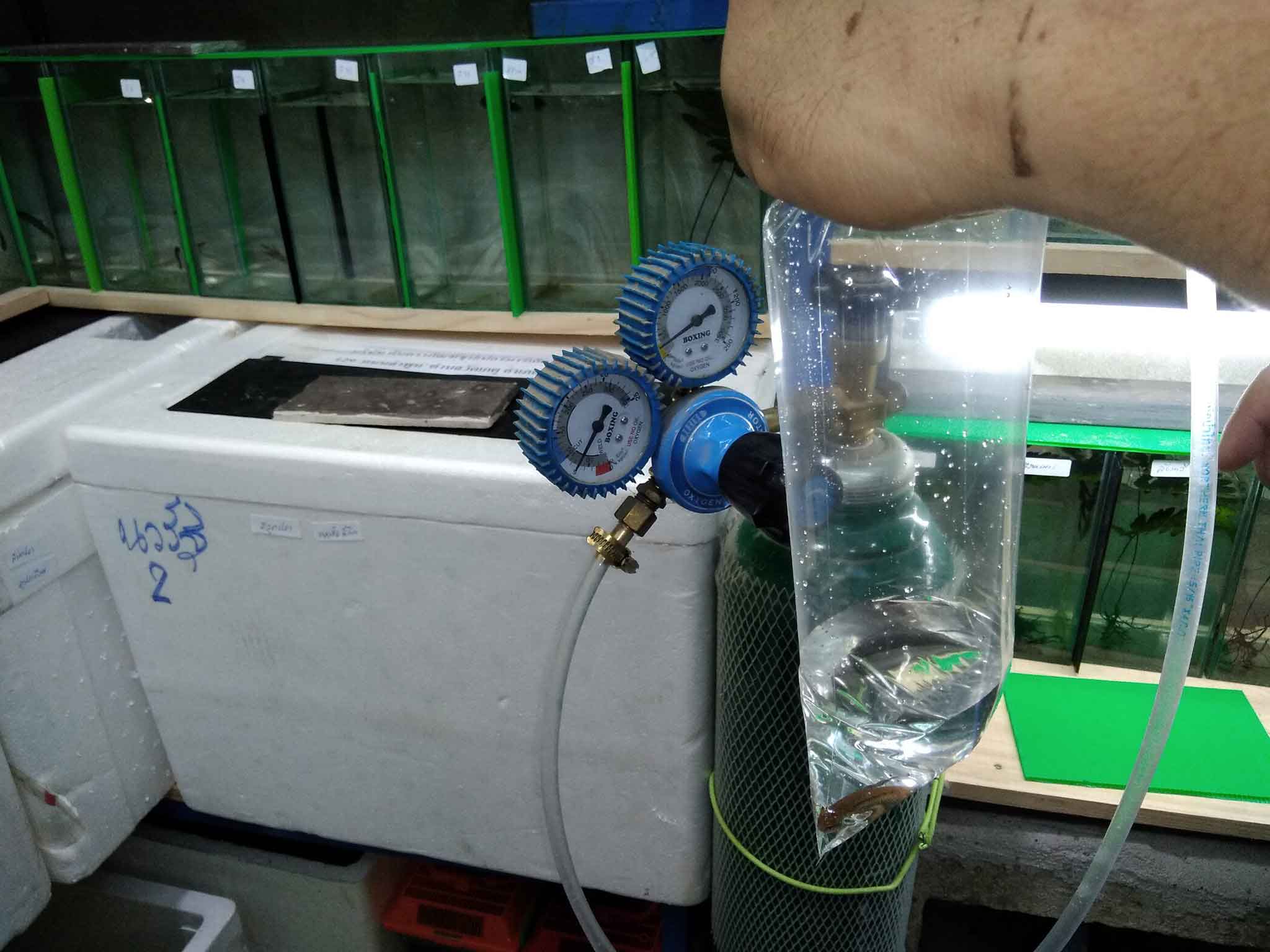 Equipment and water additives used in AF Plakad Thai daily farm routine